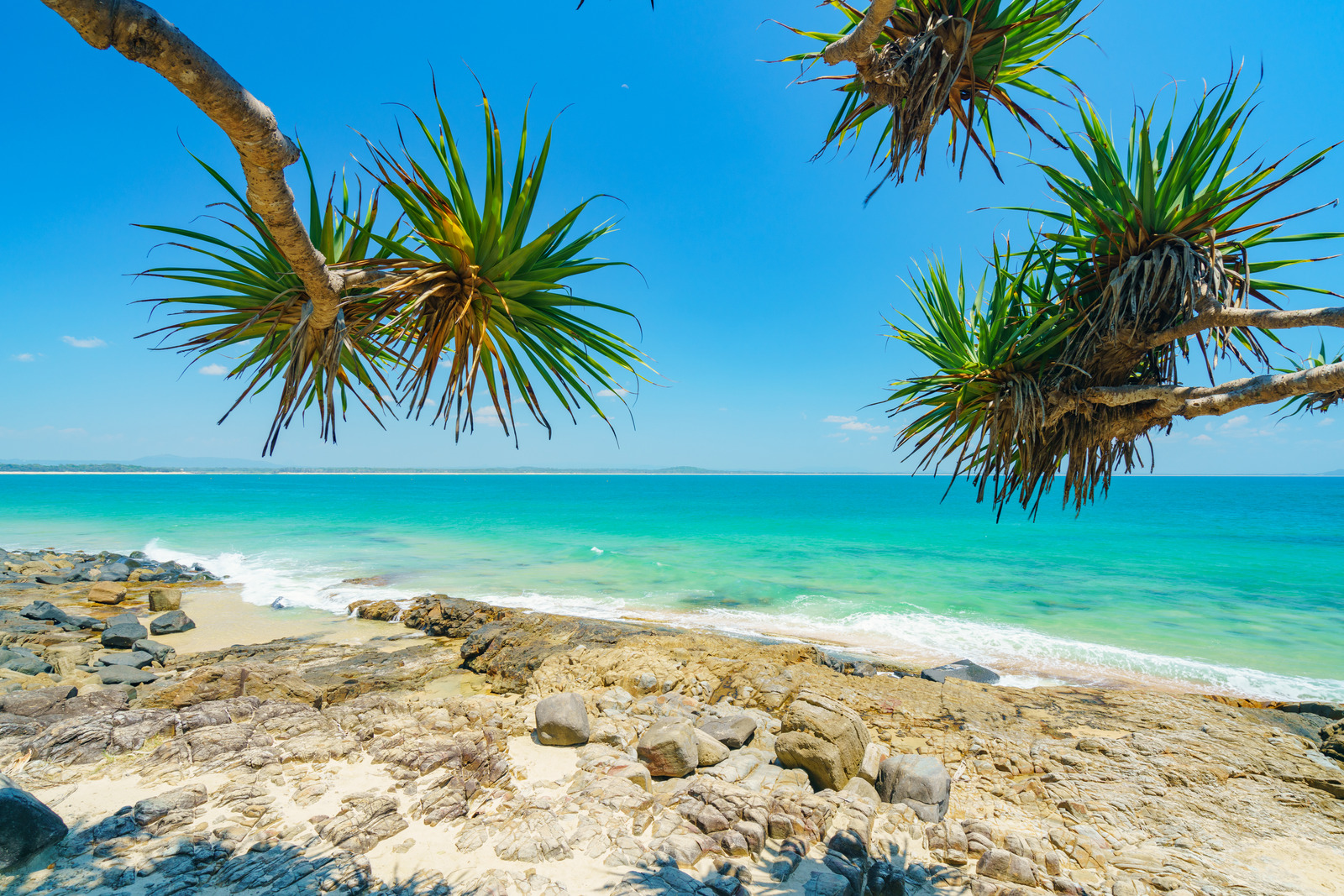 SUNSHINE COAST